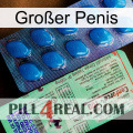 Großer Penis new02